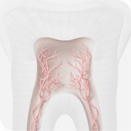 Sensodyne Repair and Protect Toothpaste