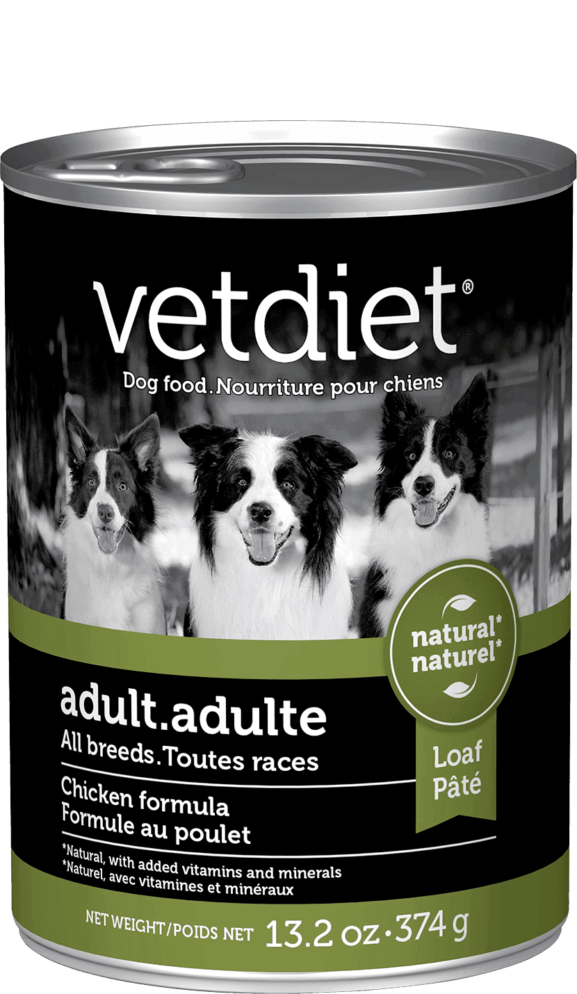 Adult – All Breeds