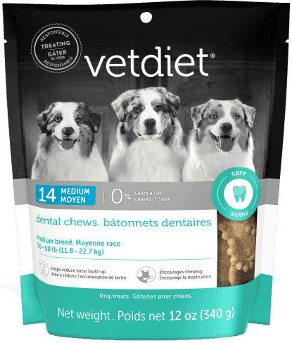 Dental Chews - Medium