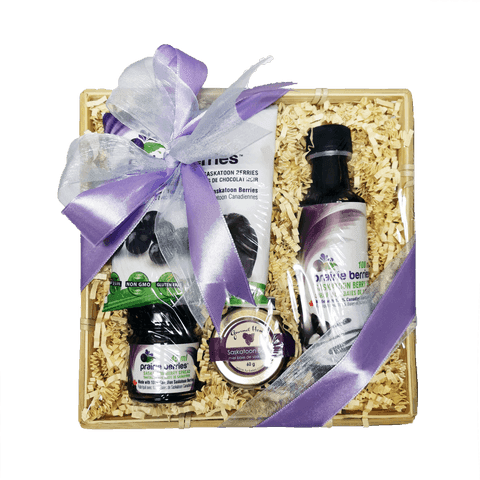 Saskatoon Berry Travel Pack