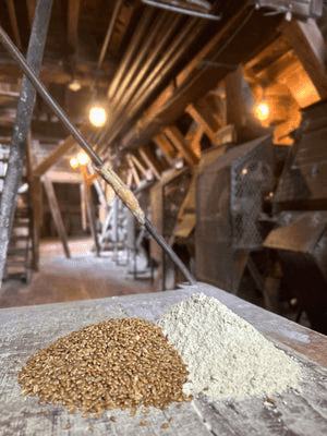 Arva Flour Mills Einkorn Wheat Berries