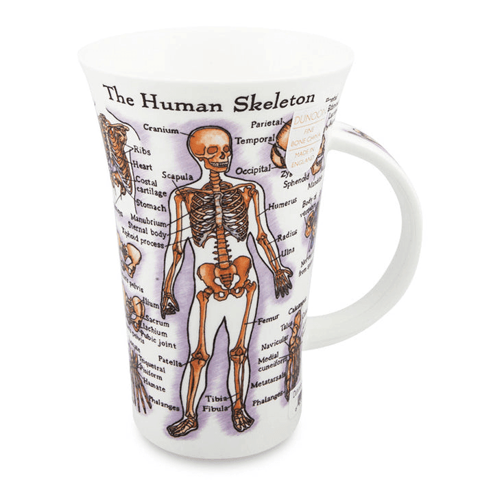 Glencoe, The Human Body Mug