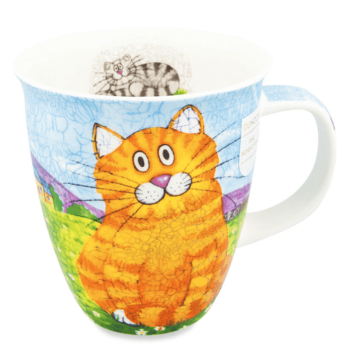 Nevis, Happy Cats Orange
