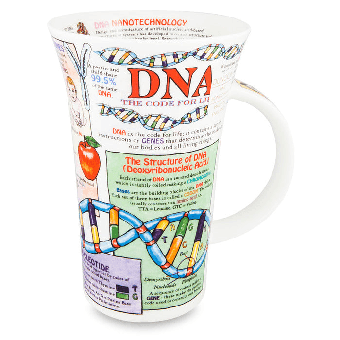 Mug, Glencoe, DNA