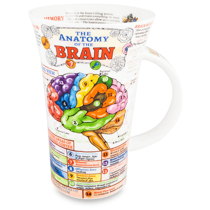Glencoe, The Brain Mug