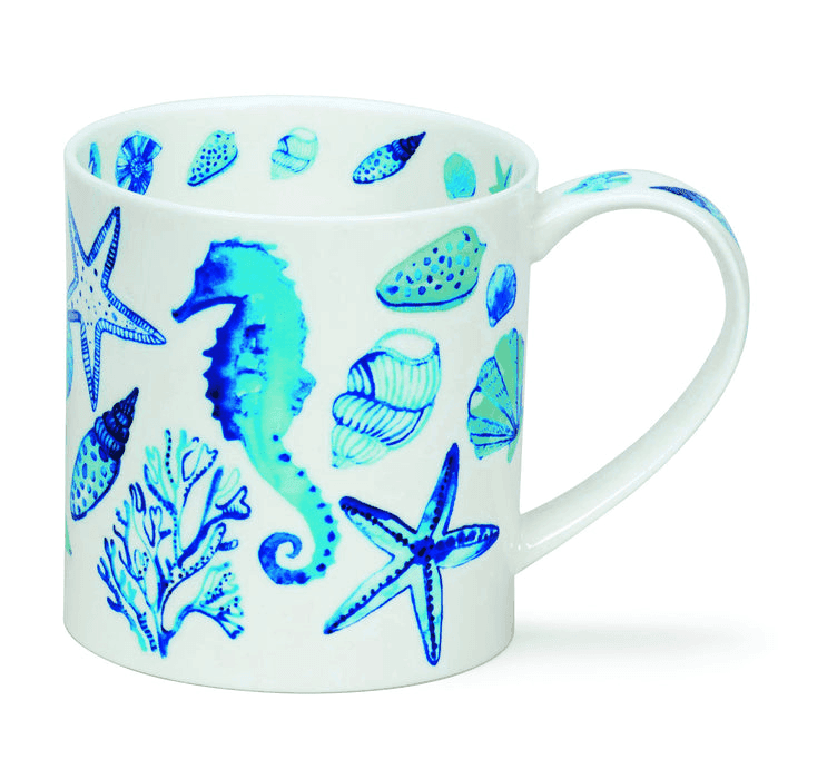 Mug, Orkney, Rockpool