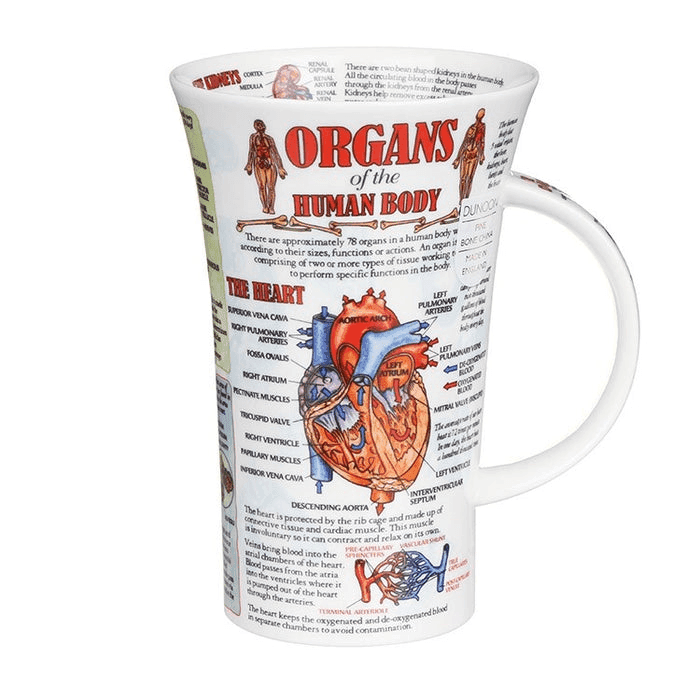 Glencoe, Organs of the Human Body