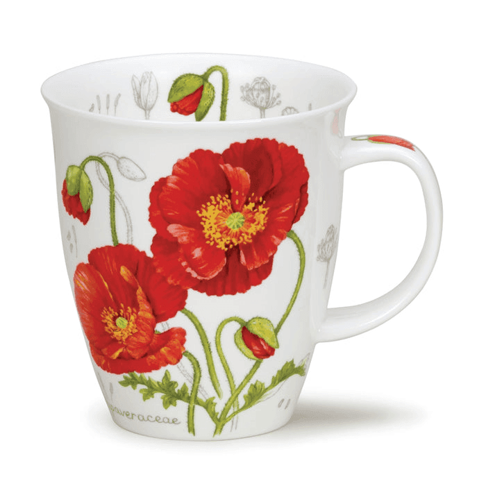 Nevis, Botanical Sketch Poppy
