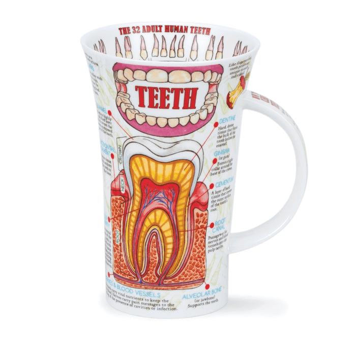 Mug, Glencoe, Teeth by Dunoon