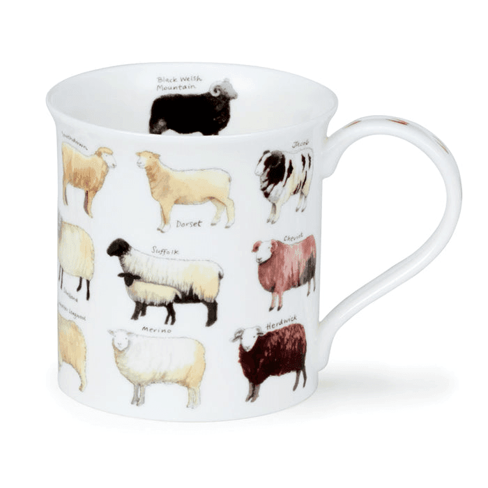 Bute Mug, Animal Breeds, Sheep