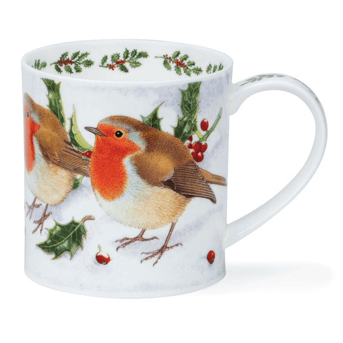 Orkney, Festive Birds, Robin