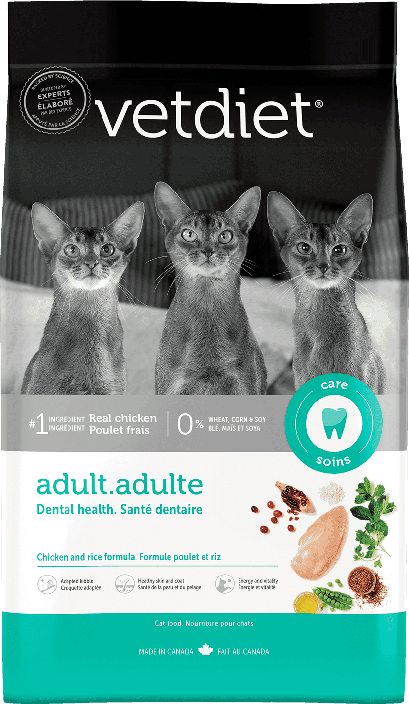Dental Food for Cats - Chicken and Rice