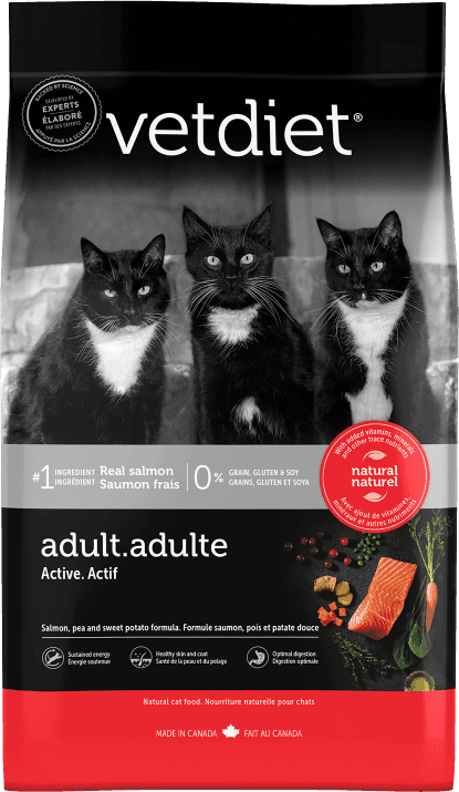 Active Cat Food: Salmon, Peas, Sweet Potato