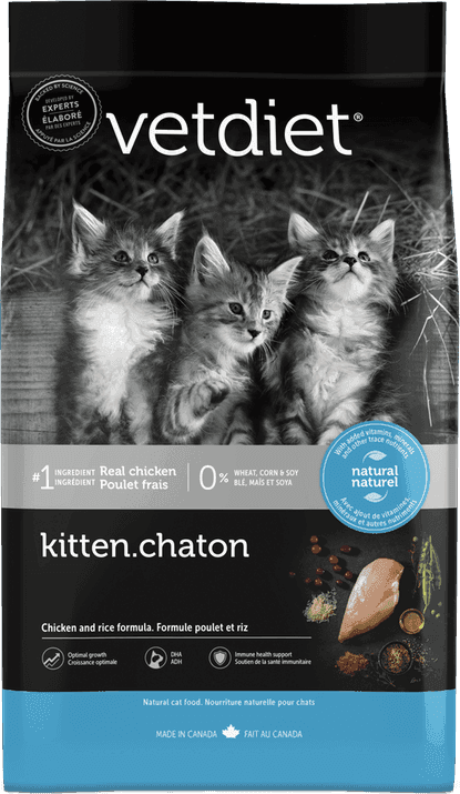 Kitten - Chicken and Rice