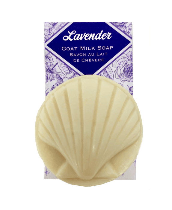 Lavender Seashell